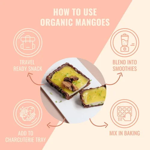 Vista 5 de Sunny Fruit Mangos secos orgánicos suaves – 1 bolsa (5 paquetes de porciones individuales) Sin conservantes, sulfuros o azúcar añadido Paquetes