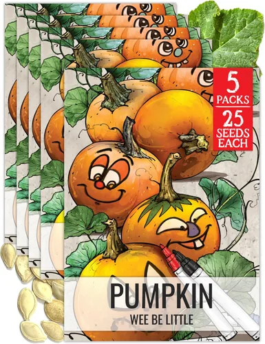 Vista 20 de Seed Needs Semillas de calabaza para plantar calabazas pequeñas de tarta de azúcar, semillas de verduras sin OMG y sin tratar para plantar un huerto