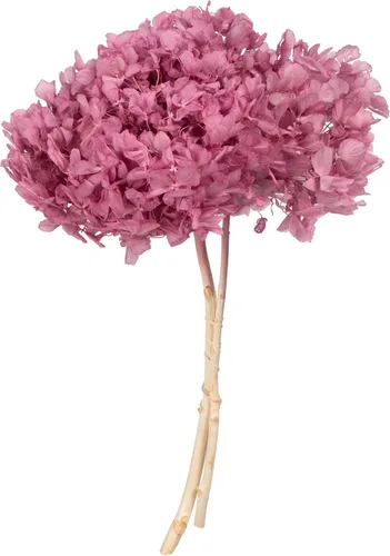 Vista 12 de Vickerman Hortensias de musgo antiguo de 15 pulgadas con múltiples segmentos de rama. Conservada