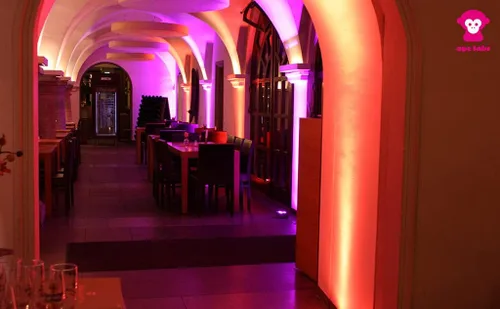 Vista 7 de Ape Labs Maxi Juego de 2 luces verticales inteligentes profesionales de fabricación alemana, 45 vatios RGBW LED Par, funciona con pilas con DMX