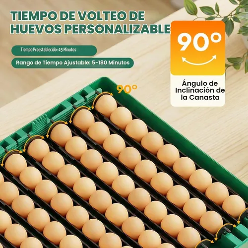Vista 5 de Incubadora para incubación de 72 huevos para pollo/pato/codorniz