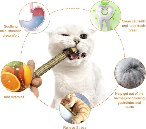 Vista 4 de Silvervine Sticks - Juguetes interactivos para gatos de interior para dentición, paquete de 3