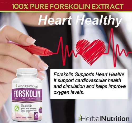 Vista 4 de Herbal Nutrition Forskolina para bajar de peso, 250 mg-500 mg de fuerza máxima forskolina paquete de dos botellas de 90 unidades, extracto del 20%