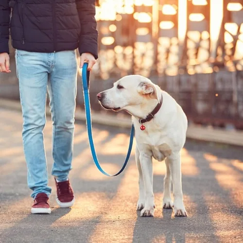 Vista 6 de TIESOME Campanas para mascotas para collar de perro y gato, accesorios colgantes para mascotas, acero inoxidable, 24 juegos de campanas