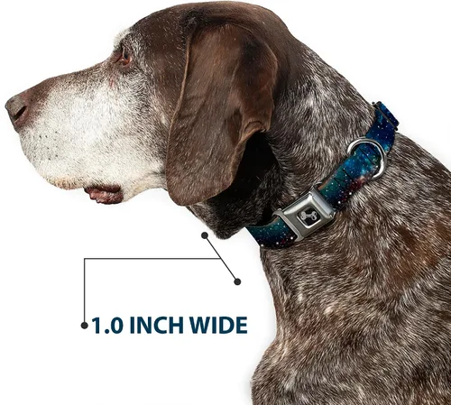 Vista 6 de Buckle-Down Collar de perro con hebilla de cinturón de seguridad, collage de polvo espacial, 1 pulgada de ancho, se adapta a cuello de 15 a 26