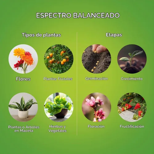 Vista 4 de GE Lighting - Luz LED para cultivo y horticultura