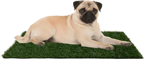 Vista 16 de Almohadilla de Césped Artificial para Orina de Cachorros para Perros y Mascotas Pequeñas - Almohadillas de Césped Reutilizables de 4 Capas de 16x20
