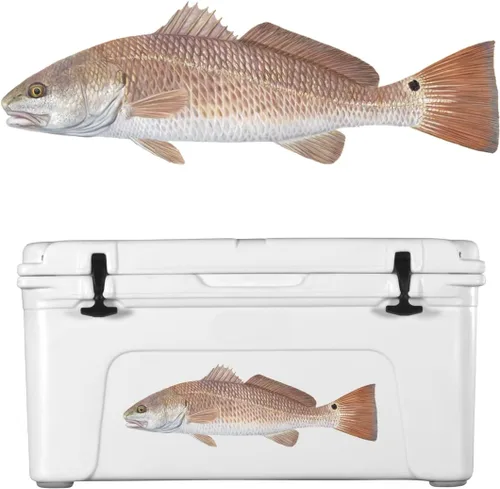 Vista 3 de Skiff Life - Calcomanías de pesca de tambor rojo, calcomanías de pesca con protección UV, calcomanías de peces de vinilo para exteriores