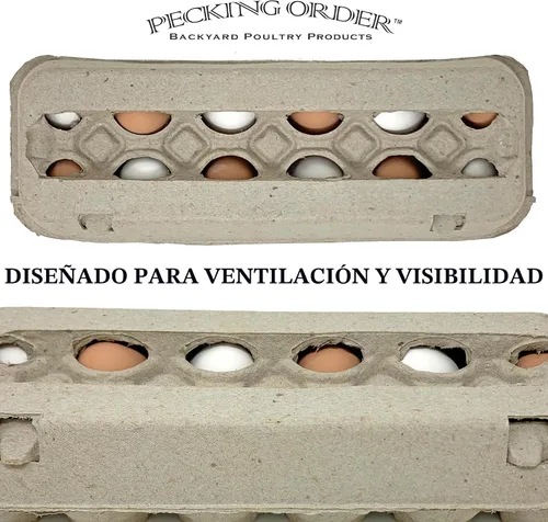 Vista 4 de Pecking Order Cartones de huevo de pulpa de papel - Paquete de 12