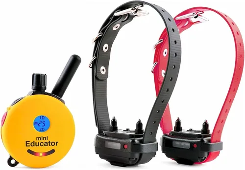 Vista 9 de Collar de entrenamiento para perro de Educator E-Collar , Amarillo 1/2 milla impermeable, 100 niveles de estimulación + vibración + luz + sonido