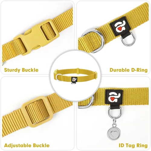 Vista 2 de azuza Juego de collar y correa de nailon para perro, correa de estilo básico fuerte y duradera con gancho para collar fácil de usar, disponible
