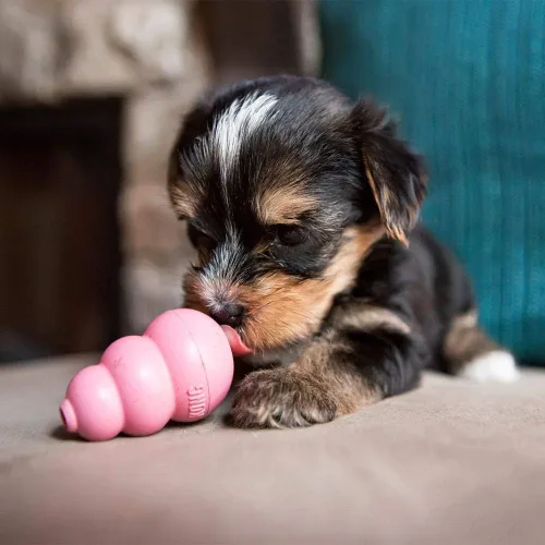 Vista 3 de KONG Cachorro - Juguete masticable de goma natural para la dentición para perros - Juguete para perros rellenable para un tiempo de juego prolongado