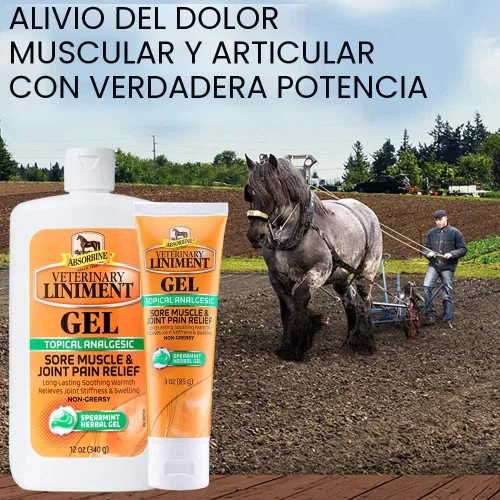 Vista 2 de Absorbine Gel de linimento veterinario, ungüento analgésico tópico de mentol para músculos adoloridos, dolor de articulaciones y artritis, paquete