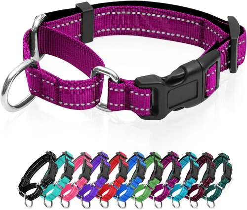 Vista 9 de Collares de perro Martingale reflectantes. Collar de perro con hebilla de liberación rápida. Collar de mascota de nylon ajustable, suave, acolchado