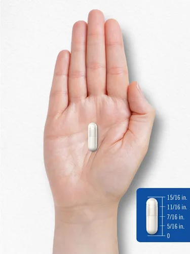 Vista 7 de Carlyle Vitamina B5 de ácido pantoténico 1000 mg 100 cápsulas Suplemento sin OMG, sin gluten