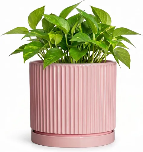Vista 57 de 8 Inch Flower Pot, Ceramic Planters, Round Plant Pot, Beige