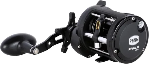 Vista 2 de Carrete de pesca Penn Rival Level Wind convencional