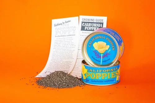 Vista 5 de California Poppy Kit de cultivo de semillas de flores The Jonsteen Company
