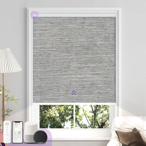 Vista 19 de Astomi - Persianas enrollables motorizadas para ventanas, persianas 100 % opacas para oscurecer la habitación, persianas inteligentes sin cordón