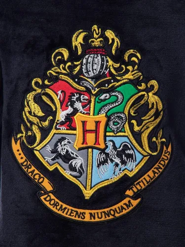 Vista 3 de Harry Potter Hogwarts Crest - Camisón de pijama raglán para niñas, todas las casas