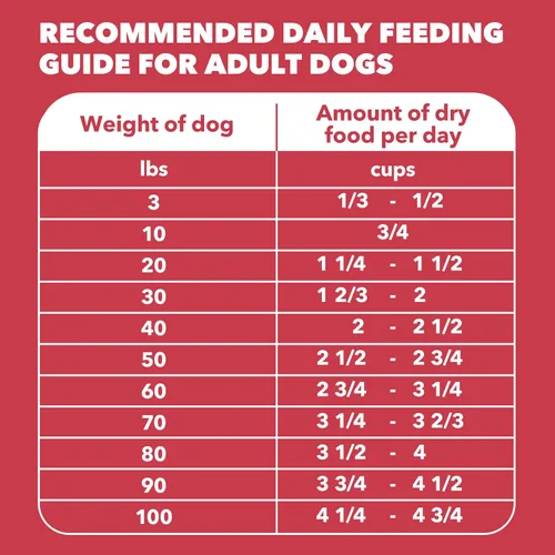 Vista 9 de Iams Proactive Health Comida seca para perros adultos – croquetas Minichunk
