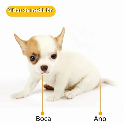 Vista 2 de Termómetro electrónico animal para mascotas Termómetro digital es un termómetro recto rápido para perros, caballos, gatos, cerdos, ovejas