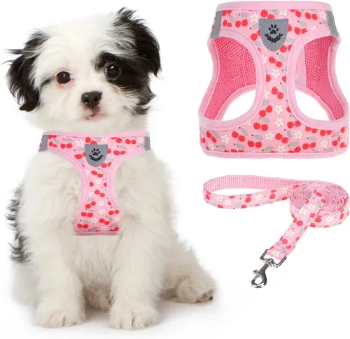 Vista 31 de Arnés de malla suave para cachorros – Juego de arnés y correa para perros pequeños, ajustable y cómodo chaleco reflectante acolchado para cachorros
