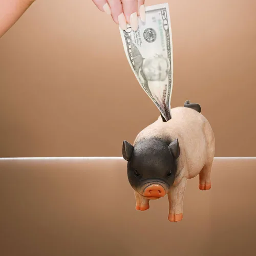 Vista 8 de Primst Alcancía de cerdo lindo, banco de dinero de resina, lindo cerdo caja de dinero, caja de monedas, caja de monedas para adultos, caja de dinero