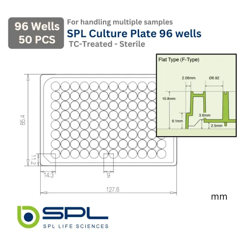 Vista 4 de SPL 96 placa de pozo, PS, 96 pozos, cultivo de tejidos tratado, fondo plano estéril, caja de 50