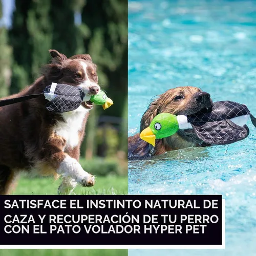 Vista 4 de Hyper Pet Serie Voladora de Juguetes Interactivos para Perros - Gran Lanzador de Patos con Funda para Perros que Flota en el Agua