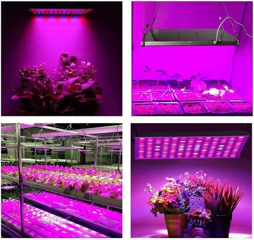 Vista 7 de Luz LED de crecimiento, luz de crecimiento para plantas de interior, luz de espectro completo para plantas de semillero, hidropónico, invernadero