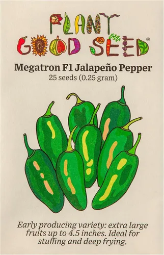 Vista 6 de Plant Good Seed Semillas orgánicas de chile de cayena – Paquete de 40, semillas tradicionales para plantar verduras – Suministros de jardinería