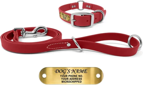 Vista 16 de Regal Dog Products Collar de Perro Naranja Mediano con Placa de Nombre Grabada Personalizada - Ajuste Personalizado, Resistente, Fácil de Limpiar
