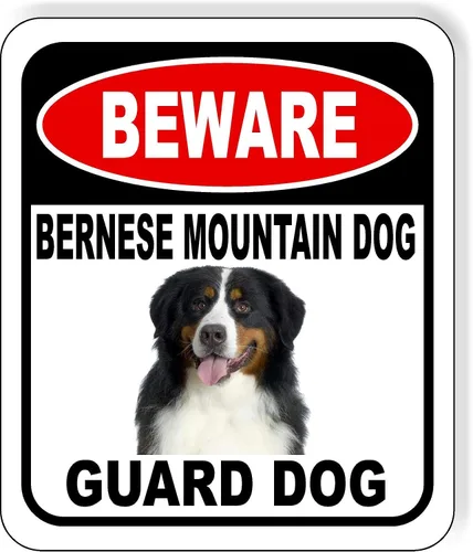 Vista 77 de BEWARE BASSETT HOUND GUARD DOG - Letrero compuesto de aluminio para exteriores, 8.5 x 10 pulgadas CUIDADO BASSETT HOUND GUARD PERRO
