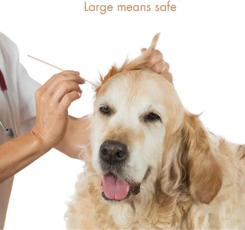 Vista 6 de GLADOG Capullos de algodón grandes profesionales de 6 pulgadas para perros, especialmente diseñados con mango de bambú, grandes medios seguros