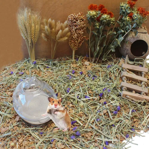 Vista 5 de Arena de baño para hámster, 3lb arena del desierto libre de polvo o arena para orinal para hámster, chinchillas, jerbo, hámster sirio, ratones, Beige