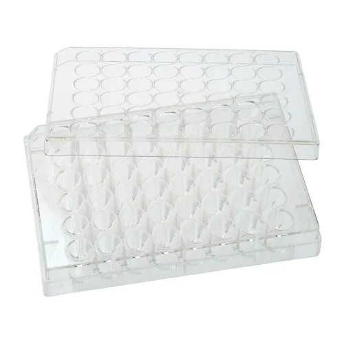 Vista 3 de CELLTREAT PRODUCTOS CIENTÍFICOS 229105 Placa de cultivo tratada de 6 pocillos con tapa; 50/Cs