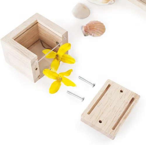 Vista 9 de Guidecraft Bloques de tesoros - Transparentes: bloques de observación de madera lisa con ventanas transparentes, juguete educativo para niños