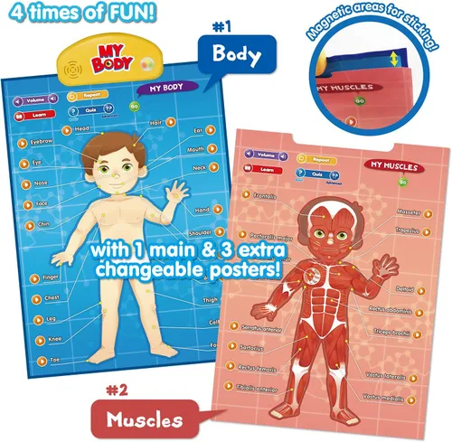 Vista 5 de BEST LEARNING i-Poster My Body - Juguete educativo interactivo para hablar de anatomía humana Aprende partes del cuerpo, órganos, músculos
