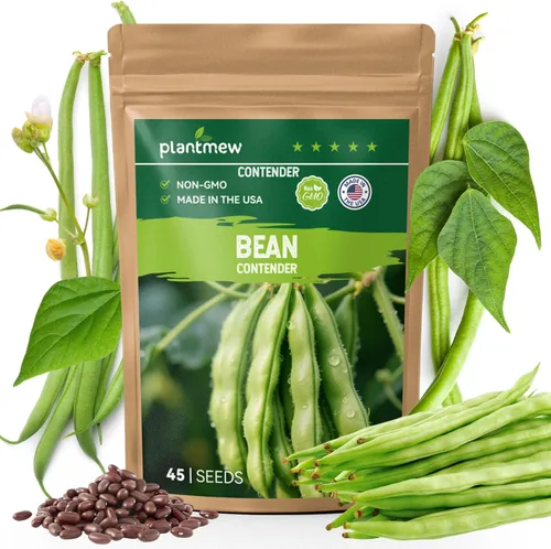 Vista 9 de Semillas de Calabacín para Plantar - 45 Semillas de Calabaza de Verano Black Beauty - Sin OGM, Paquete de Semillas de Vegetales Reliquia para Jardín
