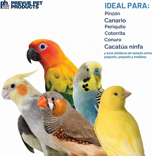 Vista 4 de Prevue Pet Products Juguete para llevar, juguetes para pájaros de forraje y participación, accesorios de jaula para loros, conures, cacatúas
