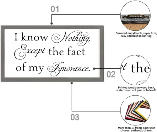 Vista 3 de Letrero de madera de estilo vintage de 12 x 22 pulgadas con texto positivo en inglés "I Know Nothing Except the Fact of My Ignorancance