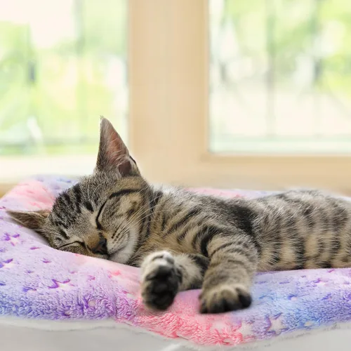 Vista 5 de 2 Pack Cat Blanket for Indoor Cat, Warm Calming Kitten Beds