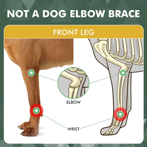 Vista 4 de Par de soportes de pierna de perro para articulación delantera de corvejón, muñequera de pierna delantera de perro con inserciones de resorte