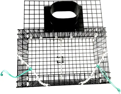 Vista 3 de Ketcham Supply Trampa de cangrejo verde pequeña de malla de alambre recubierto de PVC