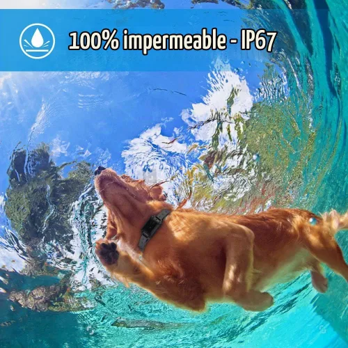 Vista 3 de Petrainer - Collar de perro 100% impermeable con control remoto para entrenamiento con pitido / Vibración / golpe eléctrico, collar electrónico