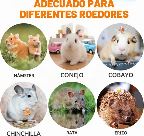 Vista 3 de Sofier Timothy Heno Treats - 16 golosinas masticables naturales para dientes hechos a mano para conejo, chinchilla, jerbo, rata, hámster juguetes
