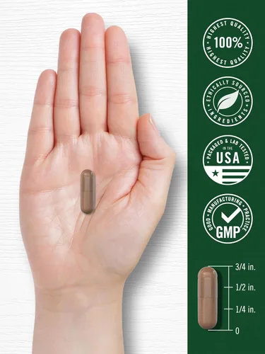Vista 7 de Carlyle Pycnogenol 100mg 30 Cápsulas Extracto de corteza de pino marítimo francés Pinus Pinaster Suplemento sin OMG y sin gluten