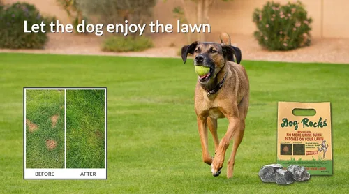 Vista 6 de Dog Rocks Neutralizador de hierba para orina de perro para césped verde en 3-5 semanas Dog Grass Saver Rock Neutralizador de orina 100% natural