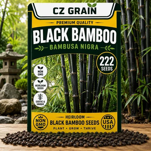 Vista 19 de CZ Grain Semillas para plantar, 40 pequeñas mezclas de calabaza